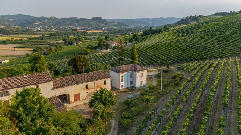 Azienda agricola a Nizza Monferrato