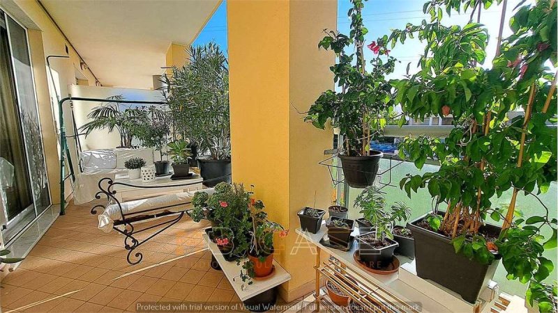 Apartment in Albenga