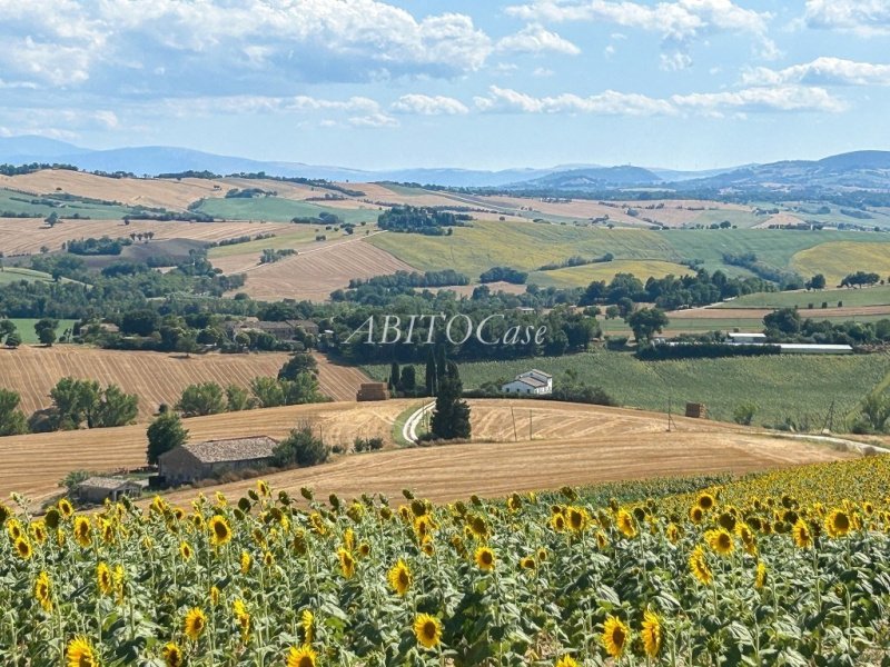 Ferme à Filottrano