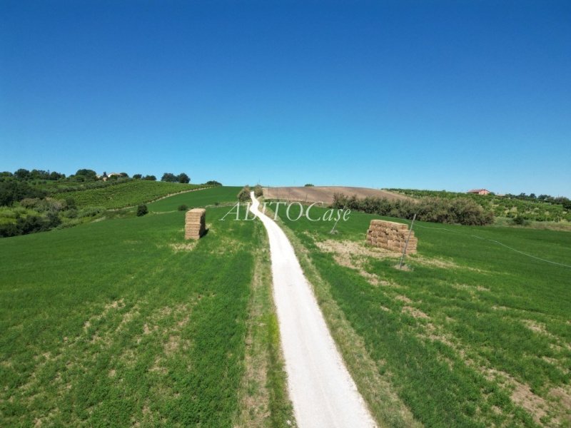 Farmhouse in Arcevia