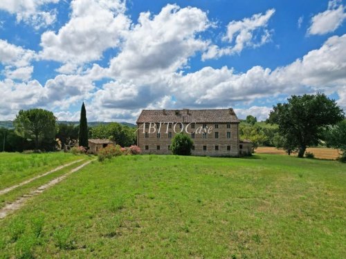 Woonboerderij in Serra de' Conti