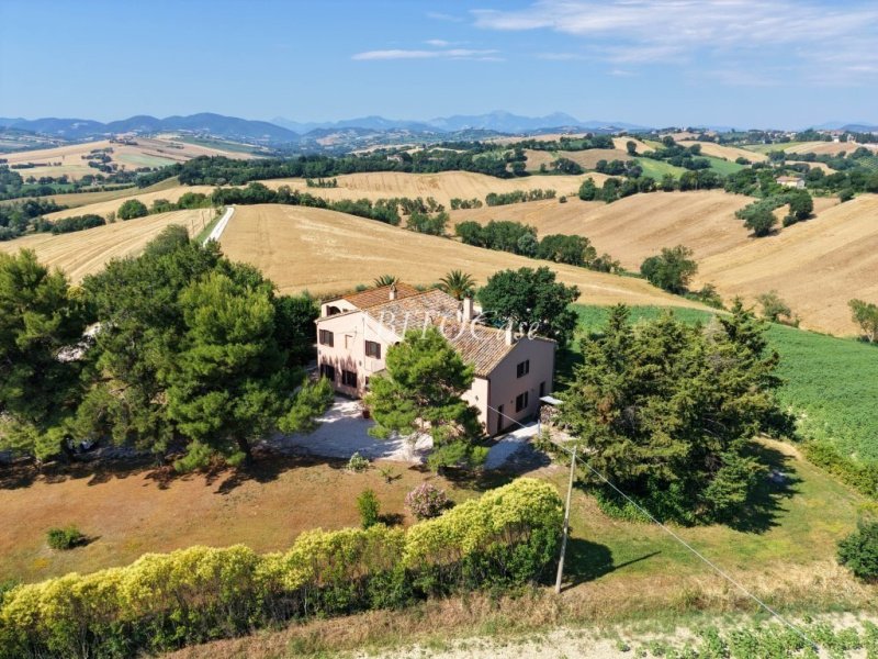 Bondgård i Castelleone di Suasa