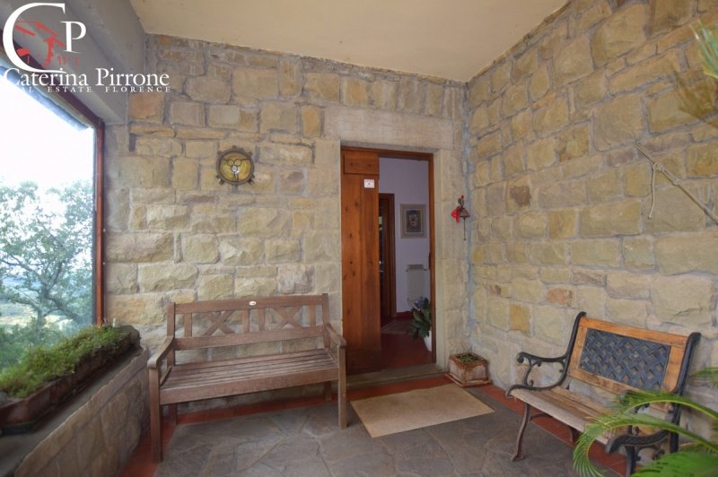 Villa i Pelago