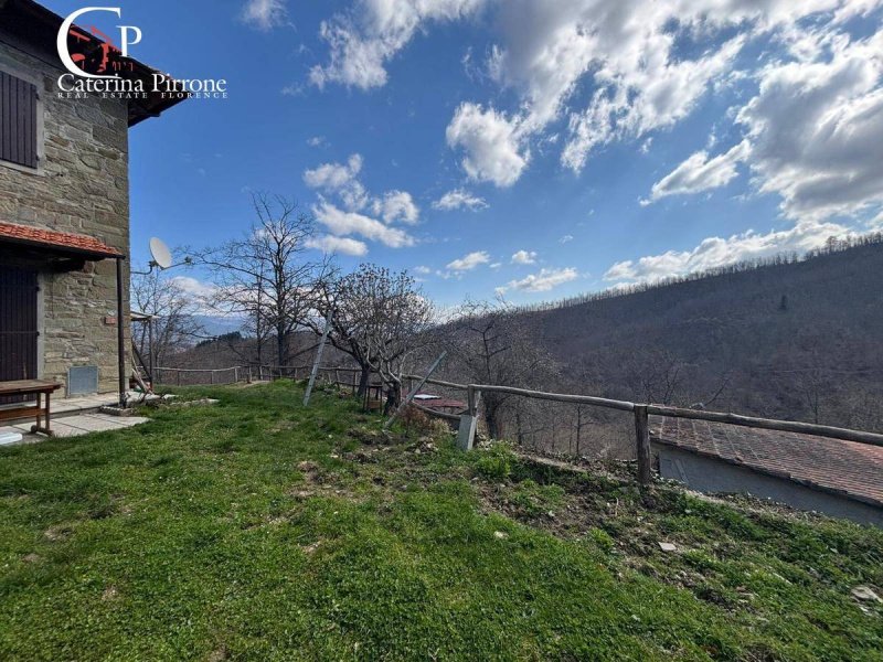 Maison de campagne à Pratovecchio Stia