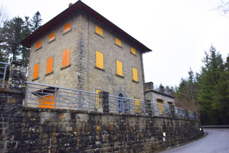 Villa i Pelago