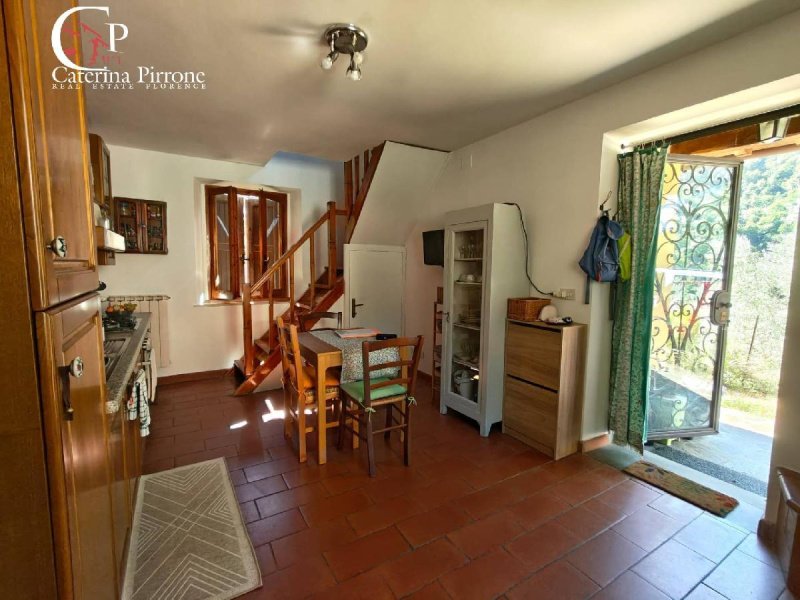 Casa independiente en San Godenzo