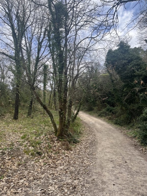Landbouwgrond in Chianni