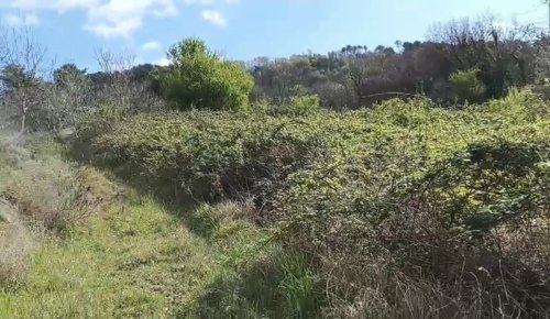 Agricultural land in Chianni