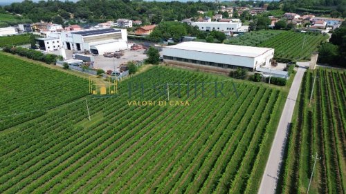 Building plot in Valeggio sul Mincio