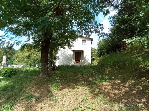 Ferme à Camaiore