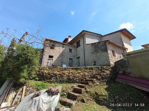 Ferme à Camaiore