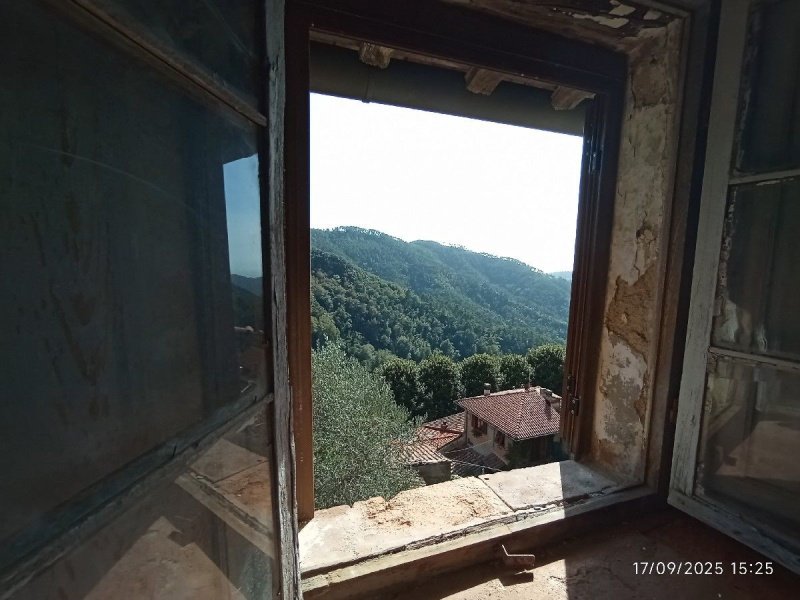 Casolare a Camaiore