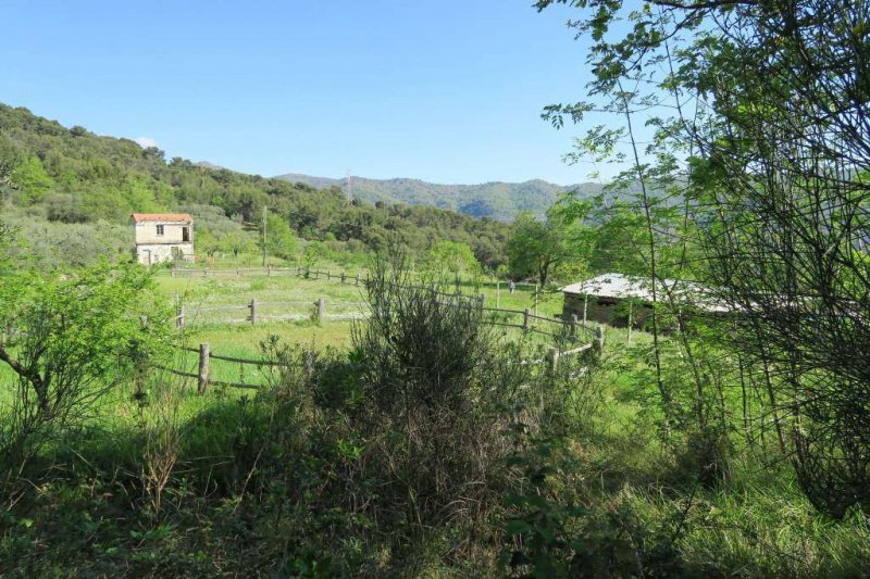 Agricultural land in San Bartolomeo al Mare