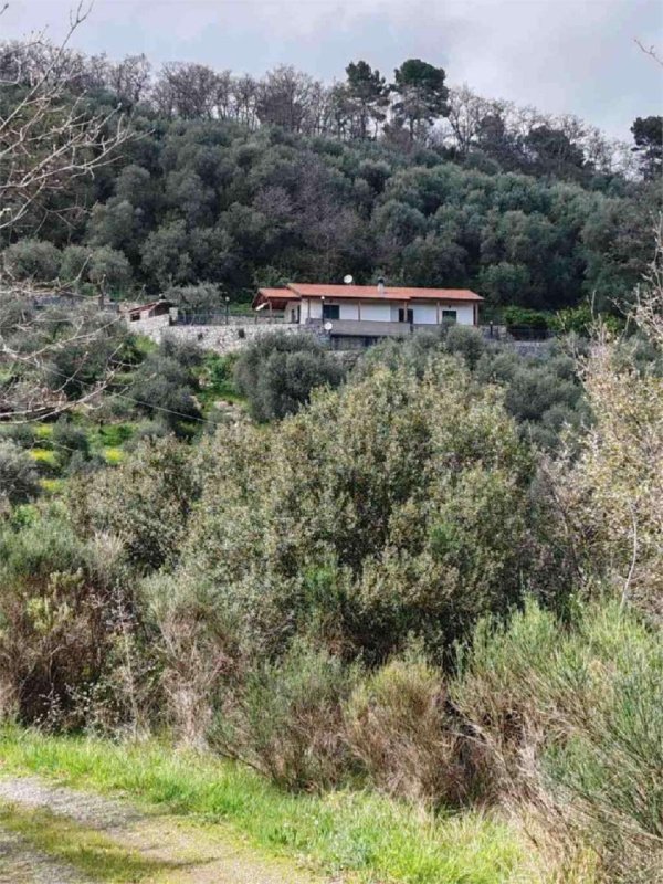 Villa in Diano Arentino