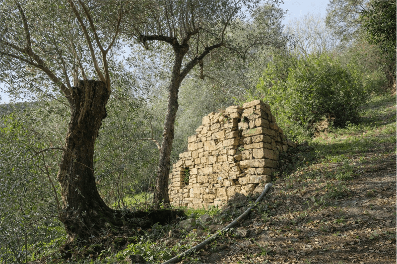 Сельскохозяйственный участок в Диано-Кастелло