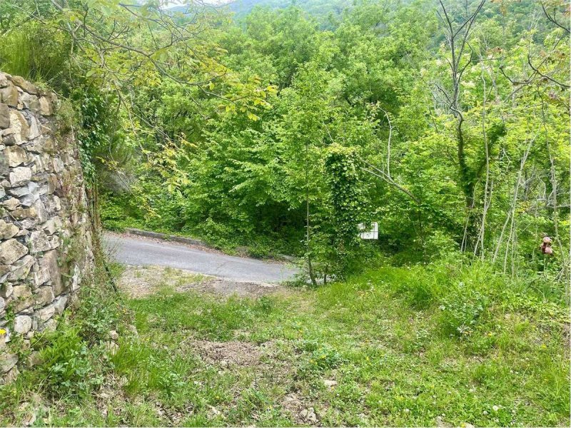 Особняк в Диано-Арентино