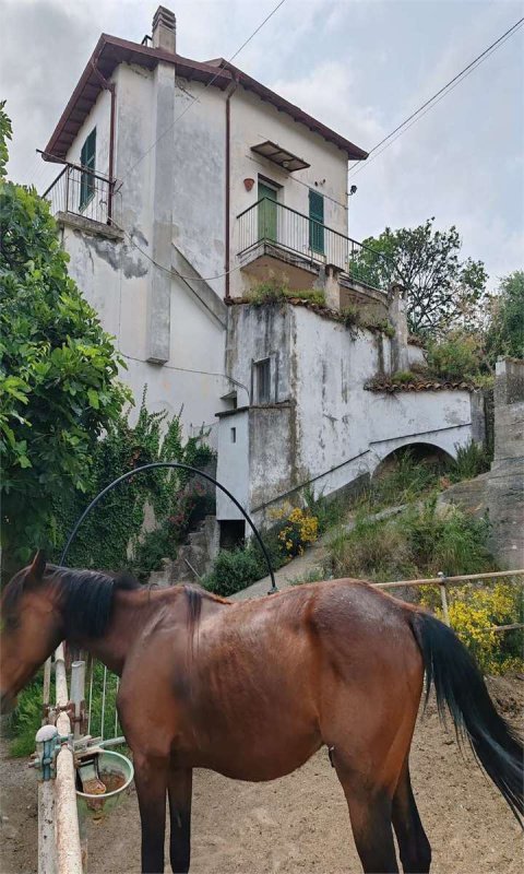 Villa i San Bartolomeo al Mare