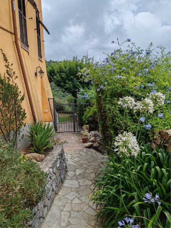 Villa i Villa Faraldi