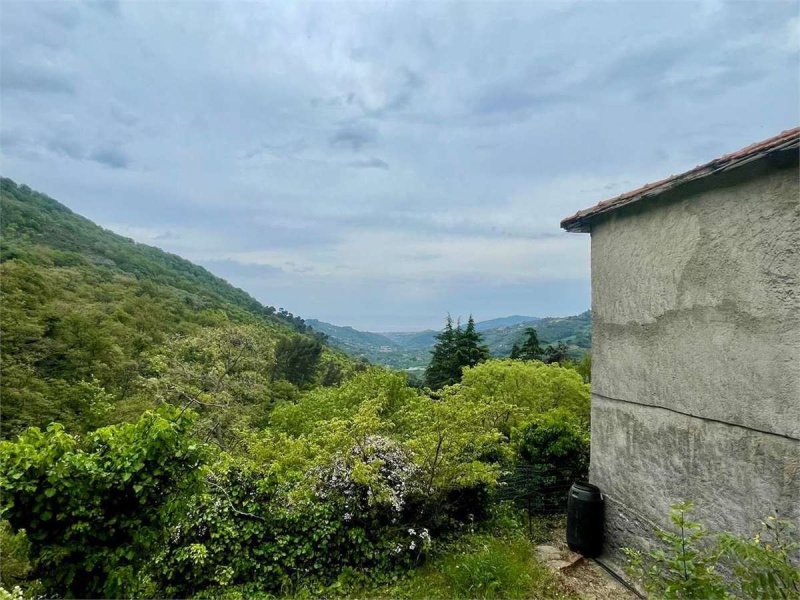 Особняк в Диано-Арентино