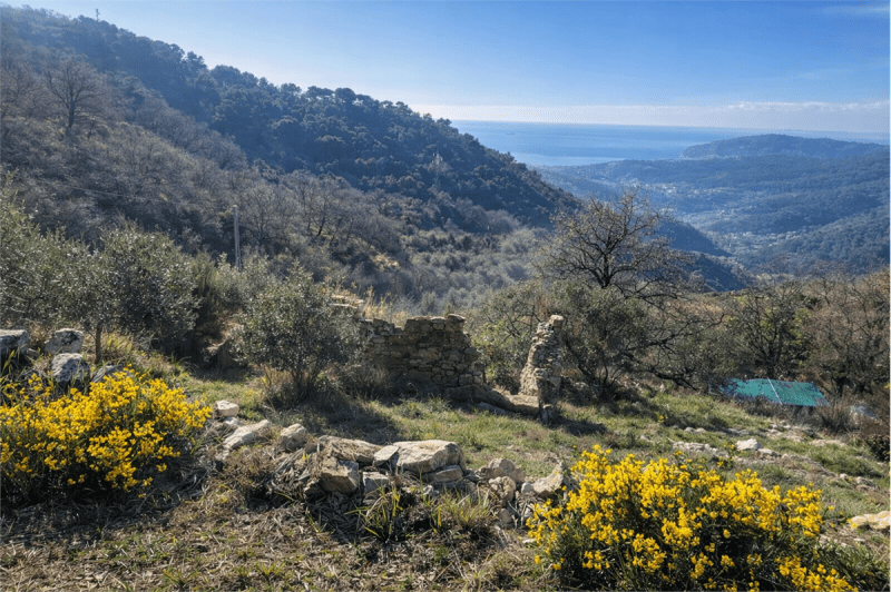 维拉法拉尔迪建筑用地