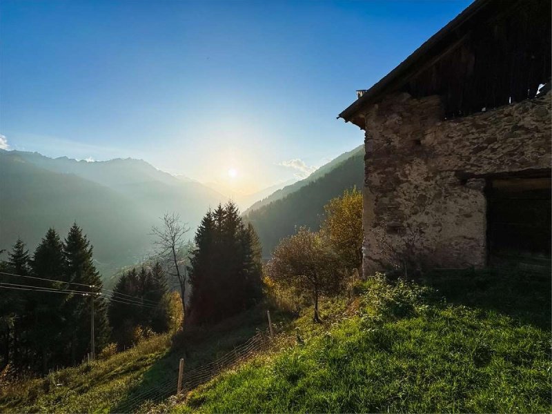Chalet in Pellizzano