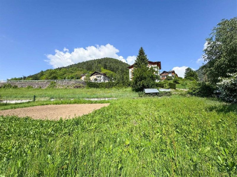 马莱建筑用地