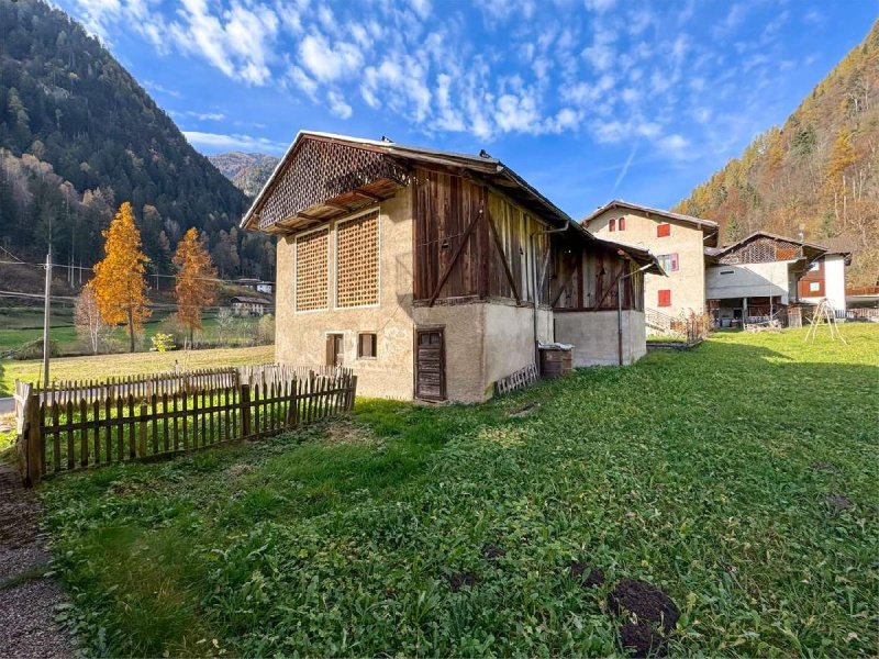 Bauernhaus in Rabbi