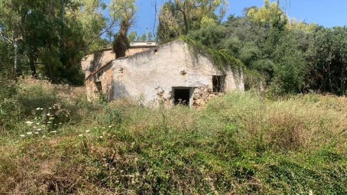 Landwirtschaftliche Fläche in Palermo