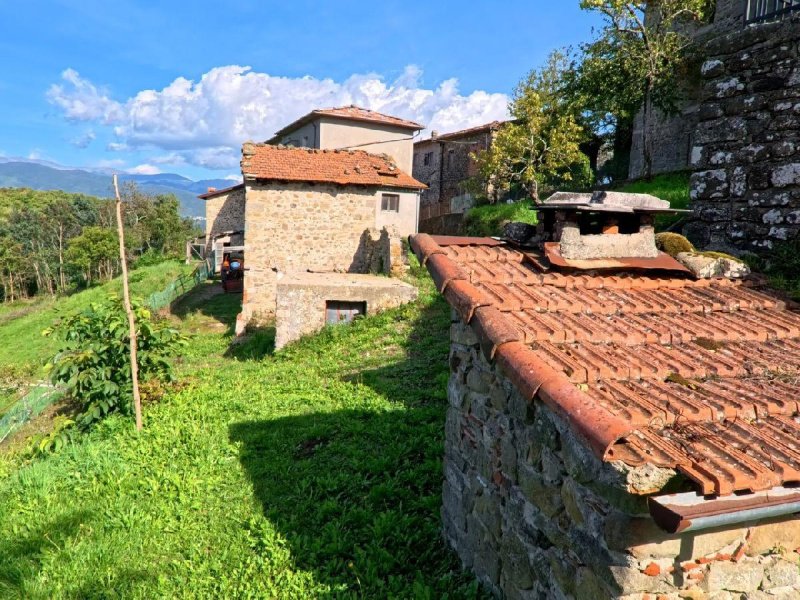 Haus in Minucciano