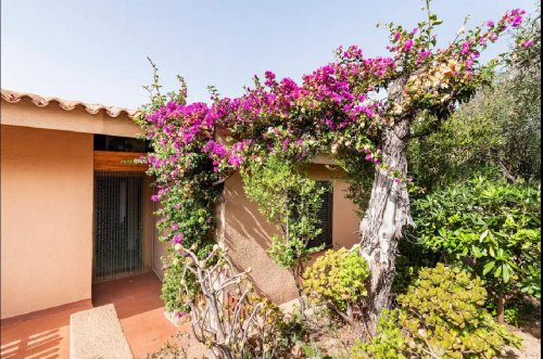 Casa semi-independiente en Trinità d'Agultu e Vignola