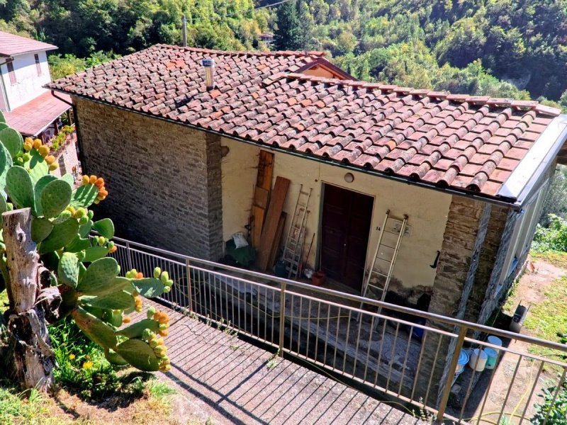 Villa i Castiglione di Garfagnana