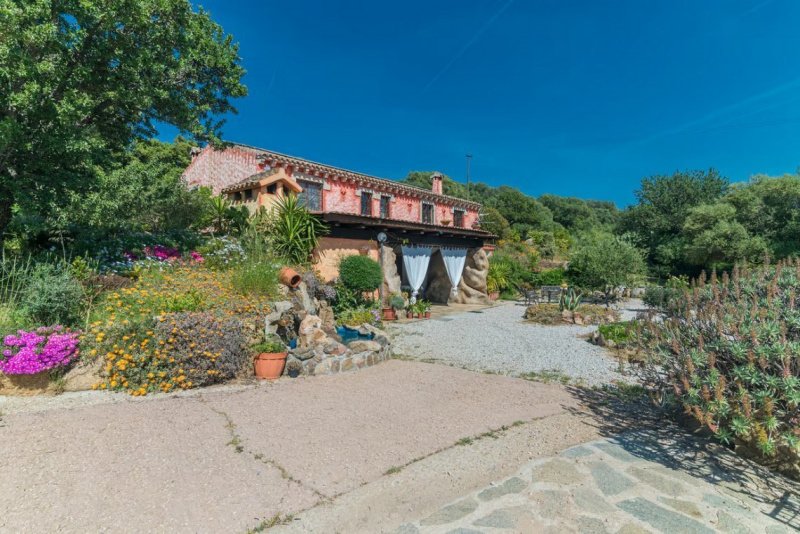 Einfamilienhaus in Arzachena