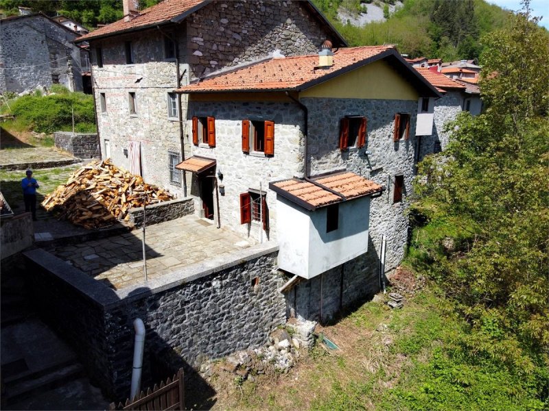 Semi-detached house in Minucciano