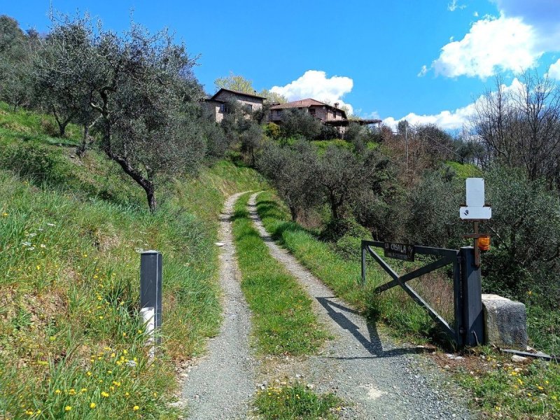 Huis in Fivizzano