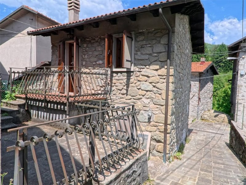 Semi-detached house in Minucciano