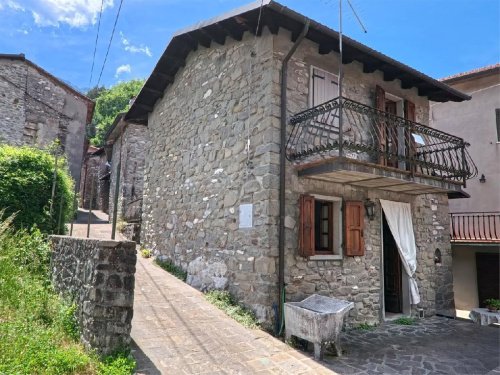 Semi-detached house in Minucciano