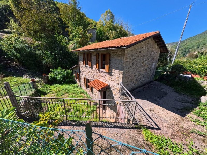 Casa indipendente a Vagli Sotto