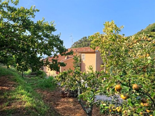 Maison individuelle à Pietrasanta