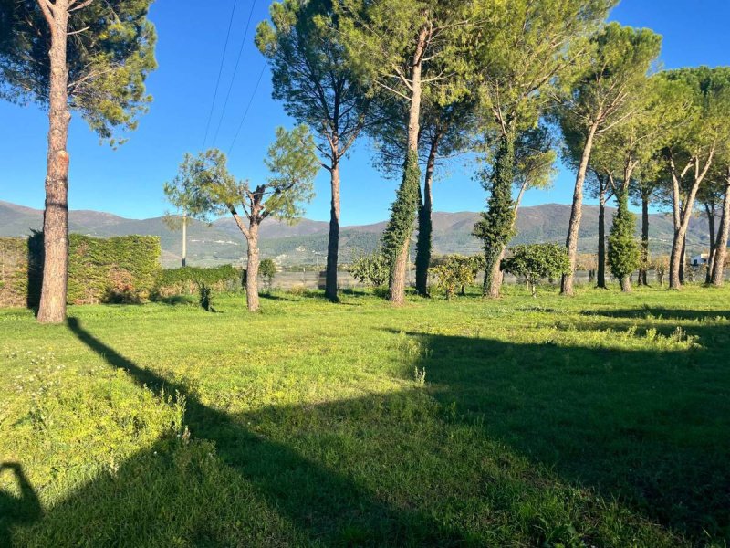 Building plot in Spoleto