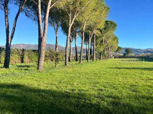 Building plot in Spoleto