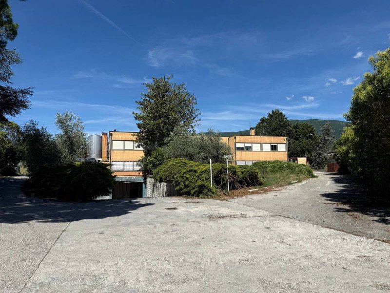 Local commercial à Spolète