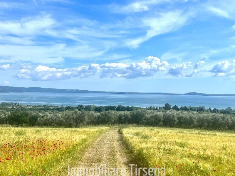 Строительный участок в Больсена