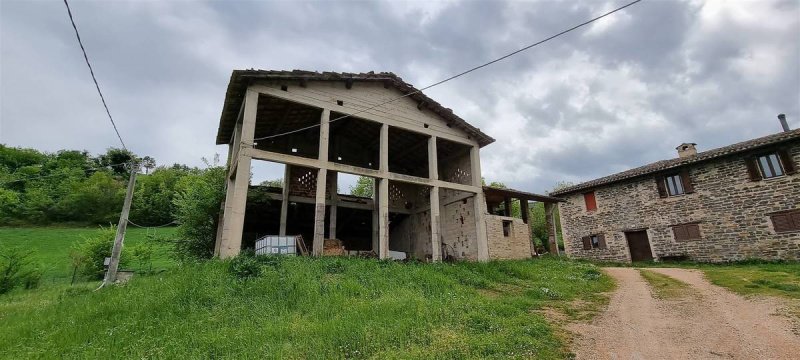 Azienda agricola a San Severino Marche