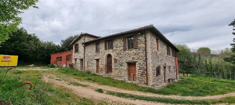 Azienda agricola a San Severino Marche