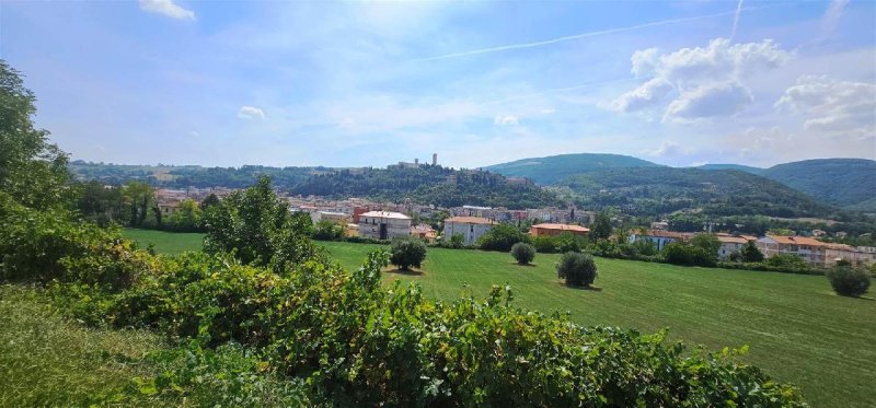 Landbouwgrond in San Severino Marche