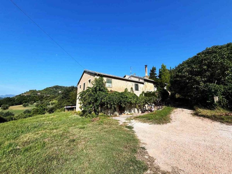 Ferme à San Severino Marche