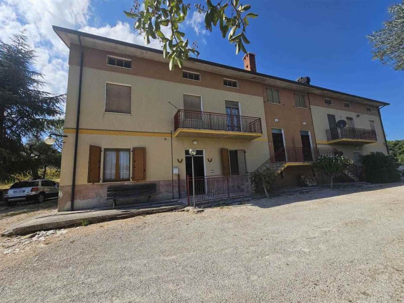 Exploitation agricole à San Severino Marche