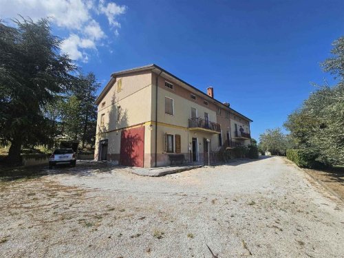 Exploitation agricole à San Severino Marche