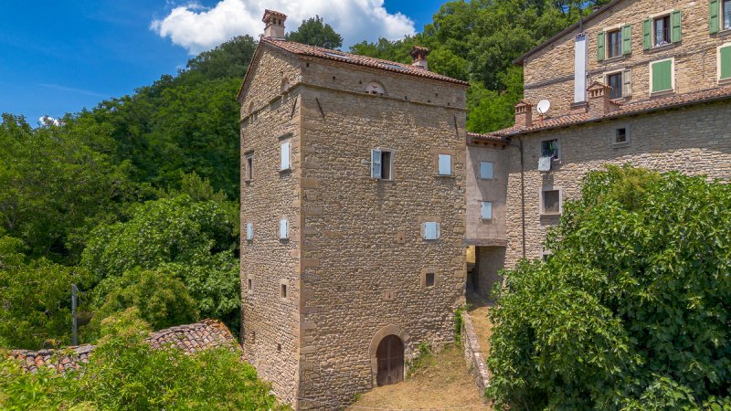 Tour à Grizzana Morandi