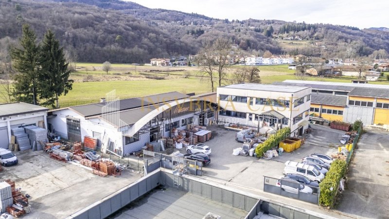 Commercial property in Mesenzana